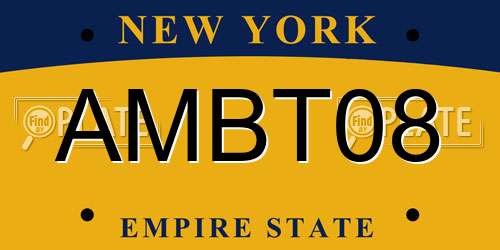 AMBT08 New York License Plate