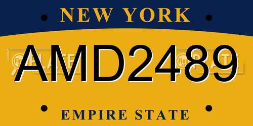 AMD2489 New York License Plate