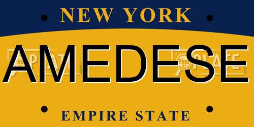 AMEDESE New York License Plate