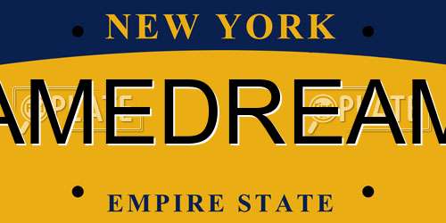 AMEDREAM New York License Plate