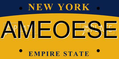 AMEOESE New York License Plate