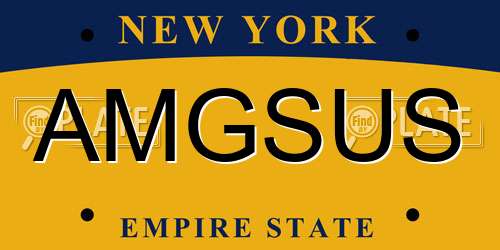 AMGSUS New York License Plate