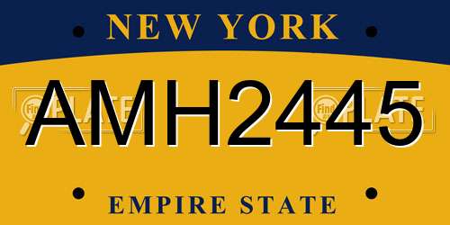 AMH2445 New York License Plate