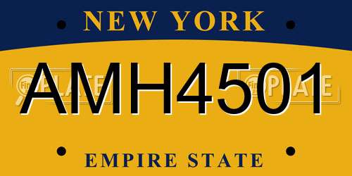 AMH4501 New York License Plate