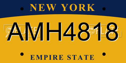 AMH4818 New York License Plate