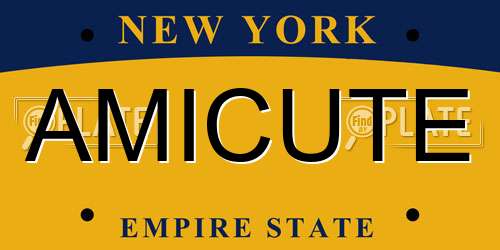 AMICUTE New York License Plate