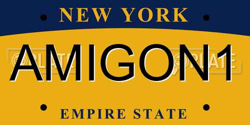 AMIGON1 New York License Plate