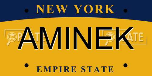 AMINEK New York License Plate