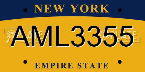 AML3355 New York License Plate