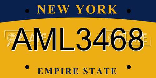 AML3468 New York License Plate