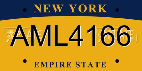 AML4166 New York License Plate