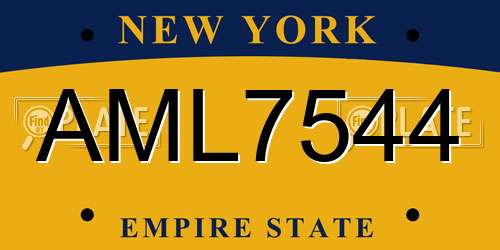 AML7544 New York License Plate