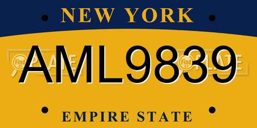 AML9839 New York License Plate