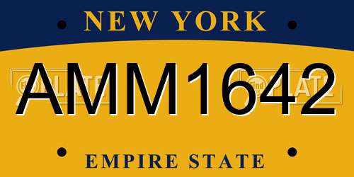 AMM1642 New York License Plate