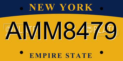 AMM8479 New York License Plate