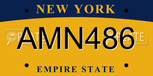 AMN486 New York License Plate