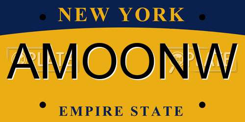 AMOONW New York License Plate