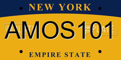 AMOS101 New York License Plate