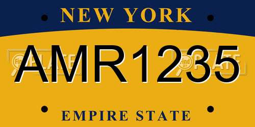 AMR1235 New York License Plate