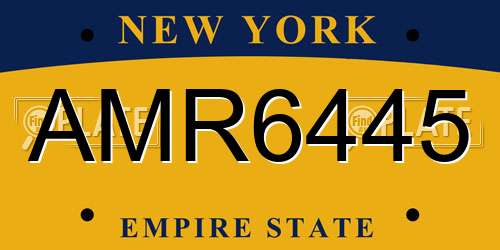 AMR6445 New York License Plate