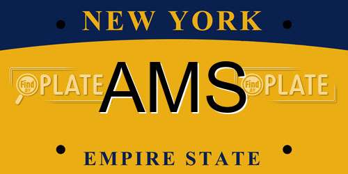 AMS New York License Plate