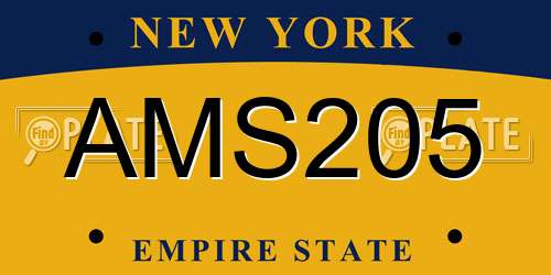 AMS205 New York License Plate