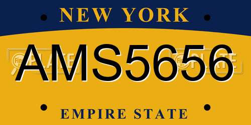 AMS5656 New York License Plate