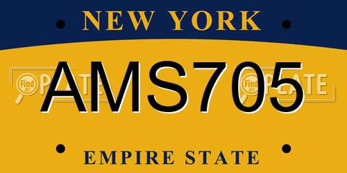 AMS705 New York License Plate