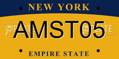 AMST05 New York License Plate
