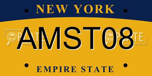 AMST08 New York License Plate
