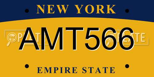 AMT566 New York License Plate
