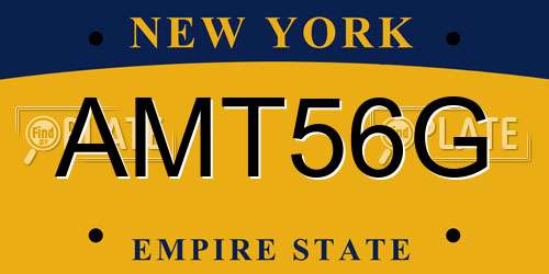 AMT56G New York License Plate
