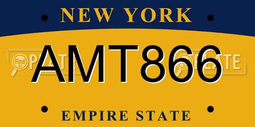 AMT866 New York License Plate