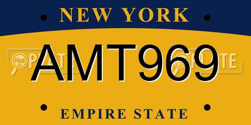 AMT969 New York License Plate