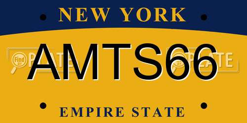 AMTS66 New York License Plate