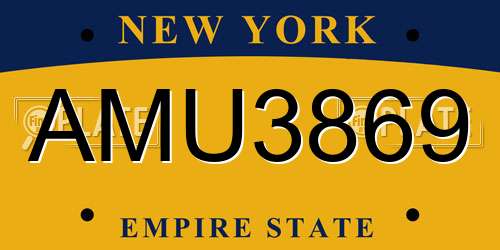 AMU3869 New York License Plate