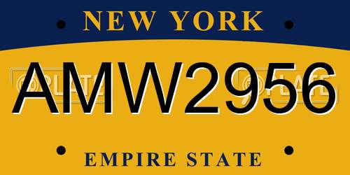 AMW2956 New York License Plate