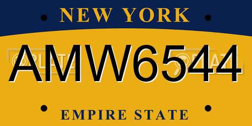 AMW6544 New York License Plate