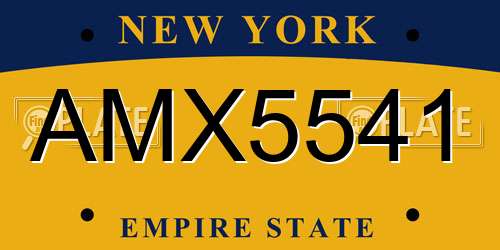 AMX5541 New York License Plate