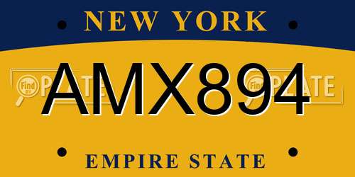 AMX894 New York License Plate