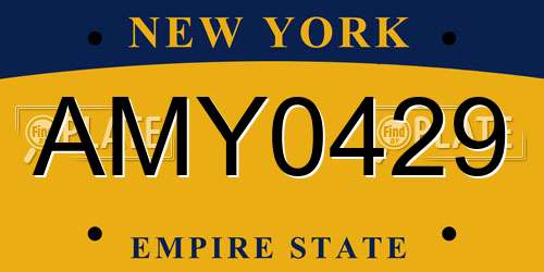 AMY0429 New York License Plate