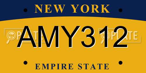 AMY312 New York License Plate