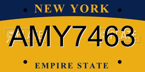 AMY7463 New York License Plate