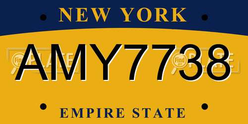 AMY7738 New York License Plate