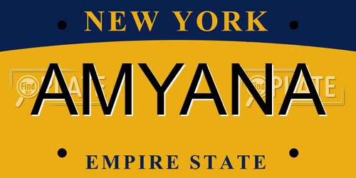 AMYANA New York License Plate