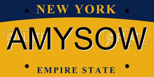AMYSOW New York License Plate