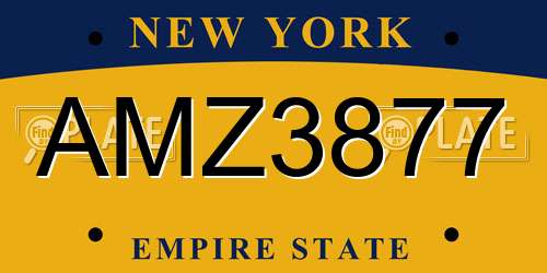 AMZ3877 New York License Plate
