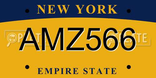 AMZ566 New York License Plate