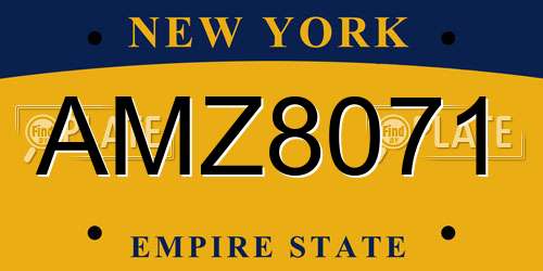 AMZ8071 New York License Plate