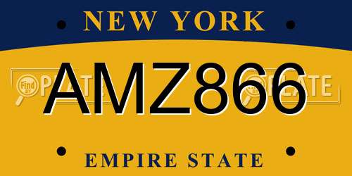 AMZ866 New York License Plate